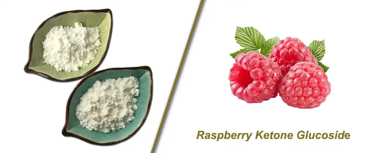 Raspberry Ketone Glucoside 6.jpg